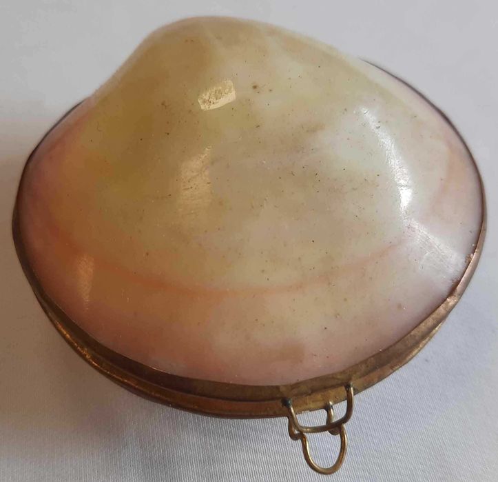 Muszla Etui do Różańca z Muszli Secesja