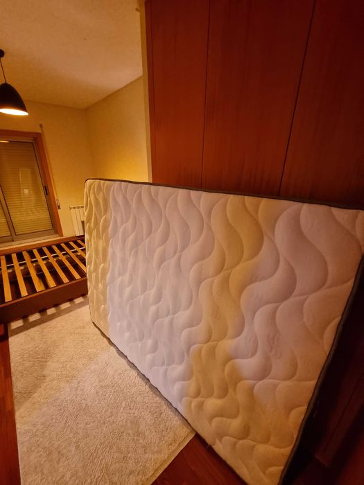 Colchão molaflex novo 150 x 195