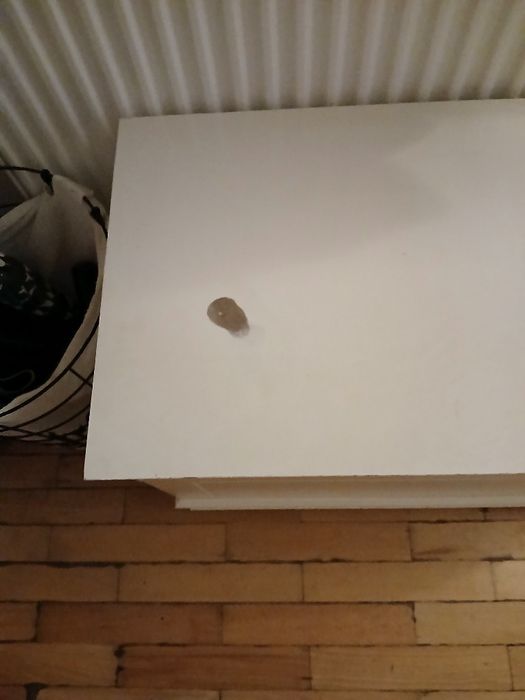 Skrzynia na buty plus szafka na buty komplet