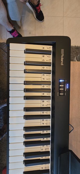 Roland FP-10 - Piano Digital 88 Teclas | Excelente Estado