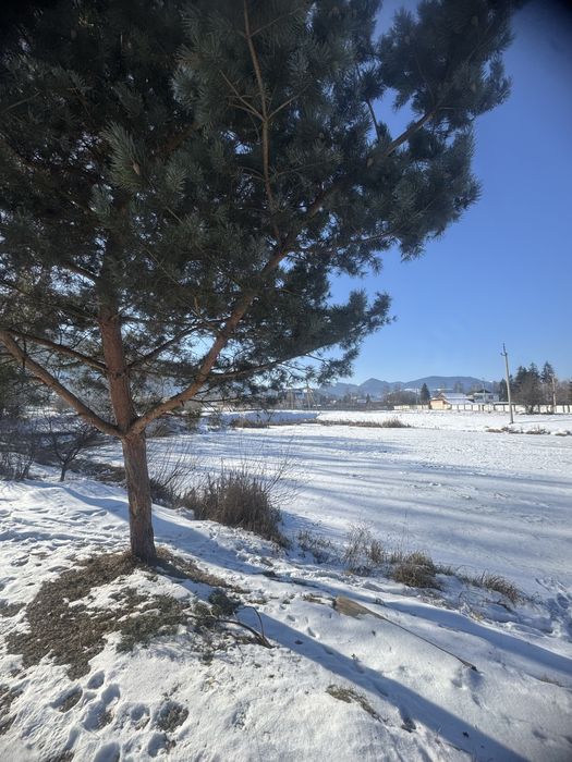 Продам ділянку 19 соток зі ставком і панорамою Карпат