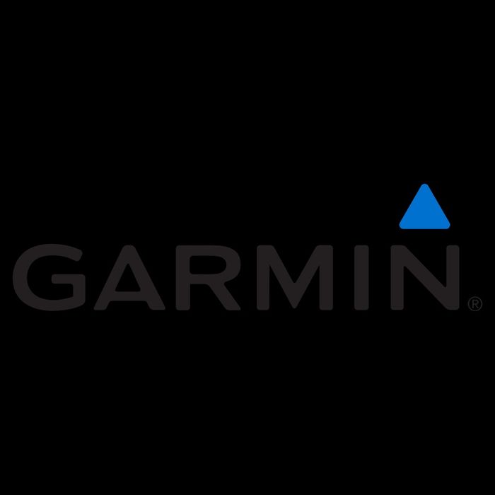 Ремонт Garmin watch