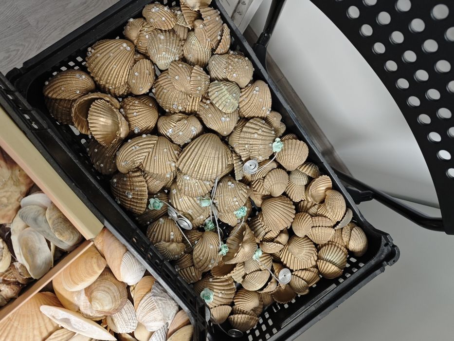 Conchas  Búzios Decoração ecoração
