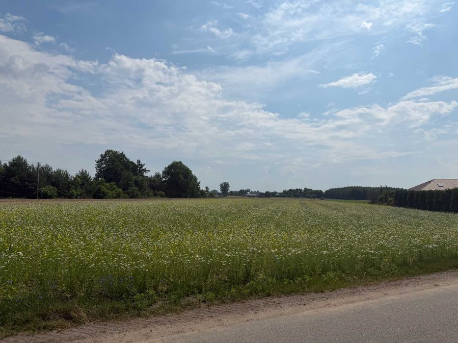 Sprzedam działkę budwlaną