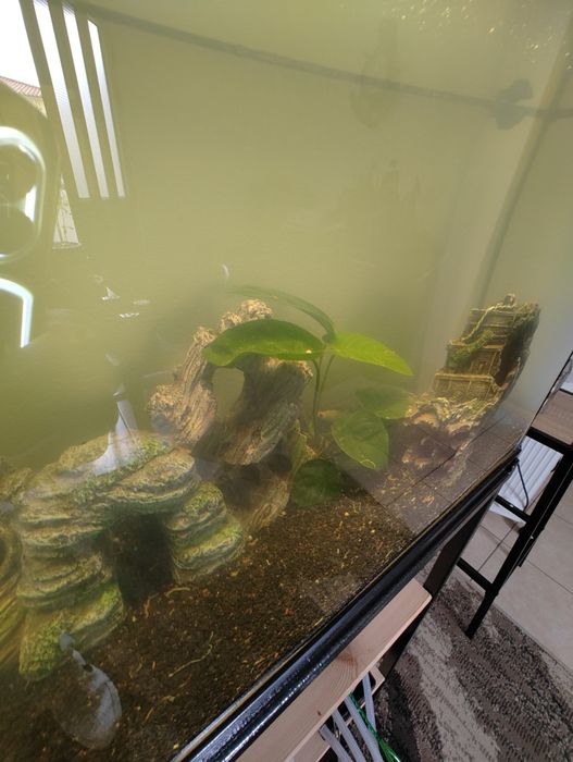 Aquário de 100 com suporte em ferro l com arrumação