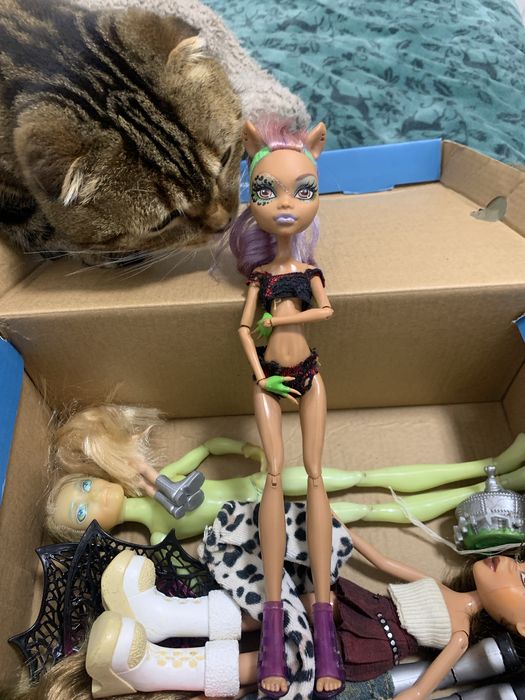 монстер хай/братц