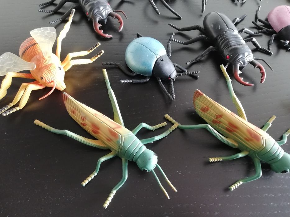 Animais do mar e insectos como novos64739000430722123