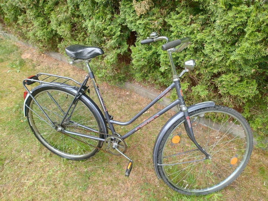 Damka Holenderka 28"