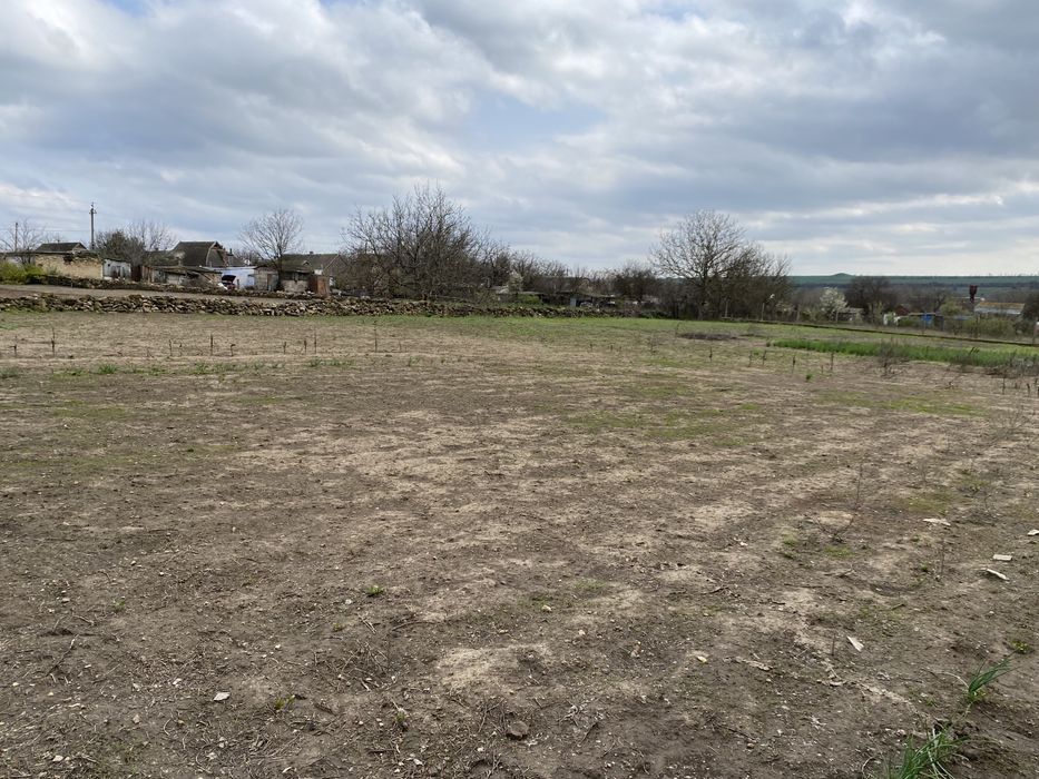 Житловий Будинок