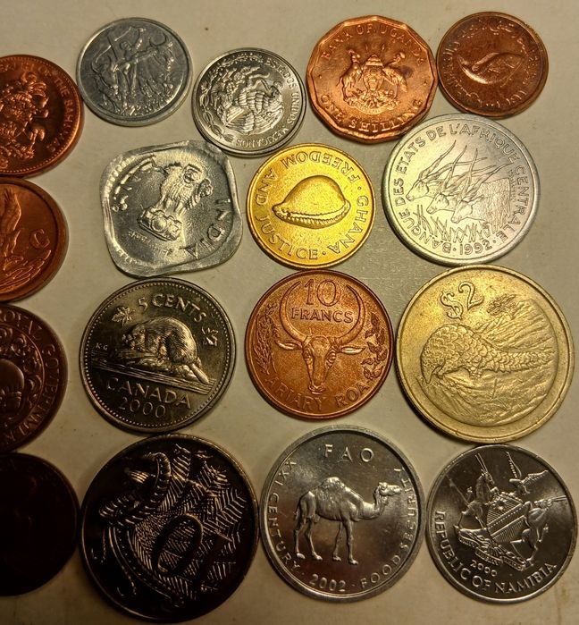Moedas com animais