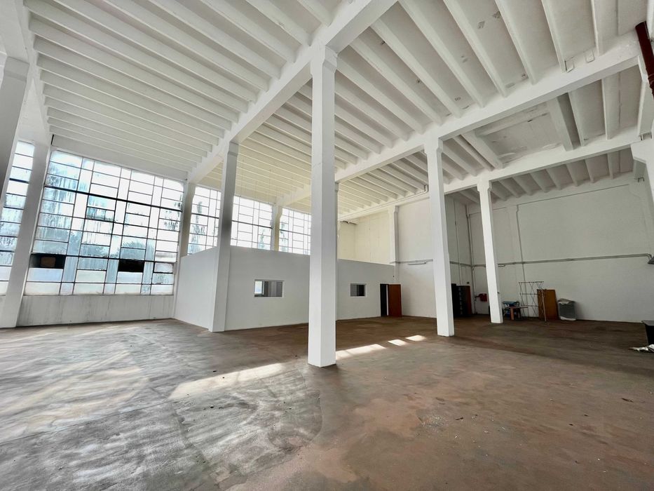 550 m2 - hala Teofilów - wynajmę