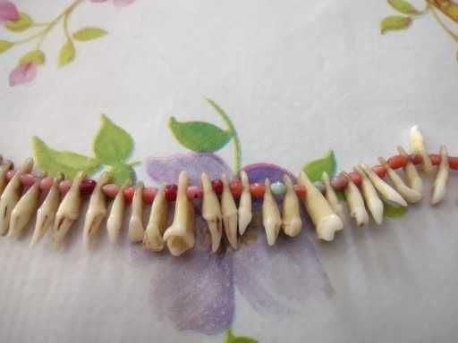 Stary naszyjnik plemienny Afryka naturalne zęby