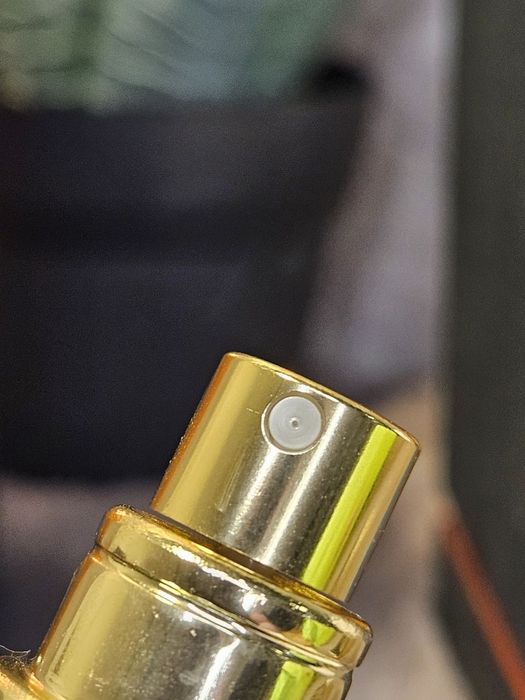 Gritti Mango Aoud Extrait de Parfum 100 мл
