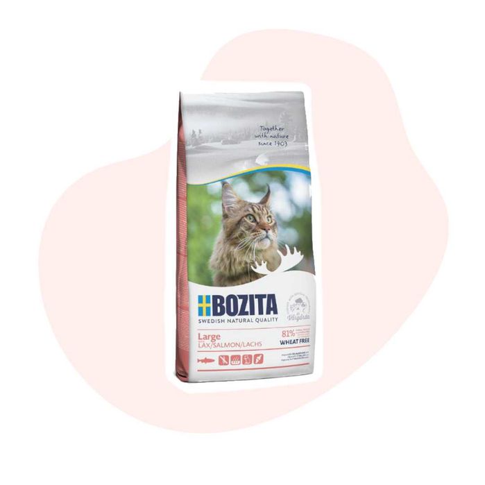 Bozita Wheat Free Large Salmon 2kg Łosoś dla kotów dużych ras, które mają tendencję do połykania pokarmu