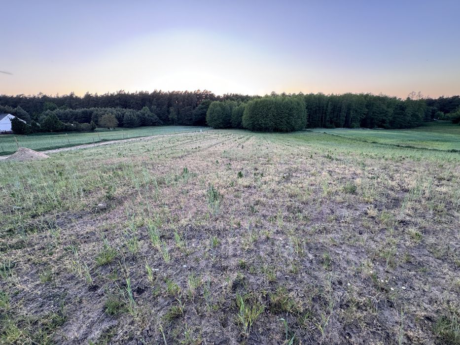 Sprzedam działkę z warunkami zbudowy