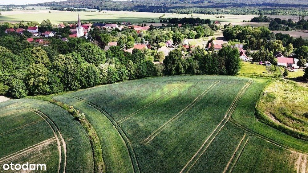 Trzy działki zagrodowe- każda po 30 arów! - Widok 3