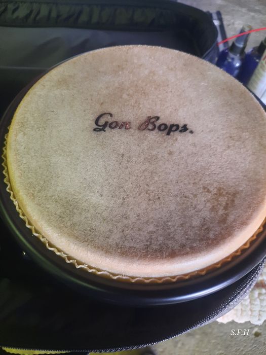Vendo Bongós GonBops Fiesta