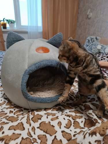 Домик-кроватка для домашнего питомца до (6кг)