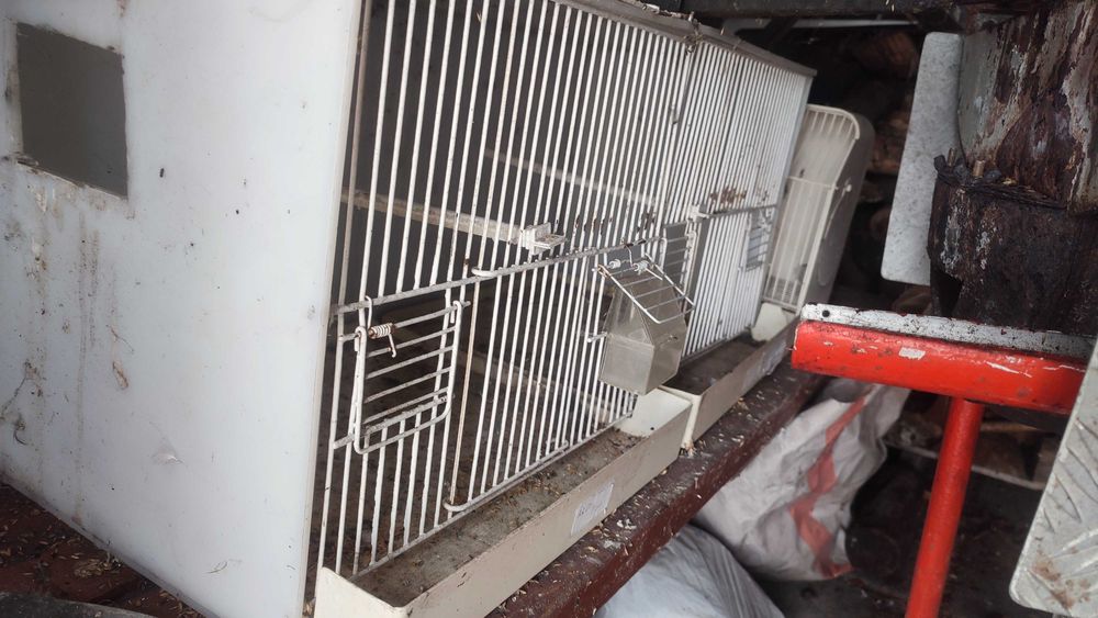 Gaiolas  em bom estado