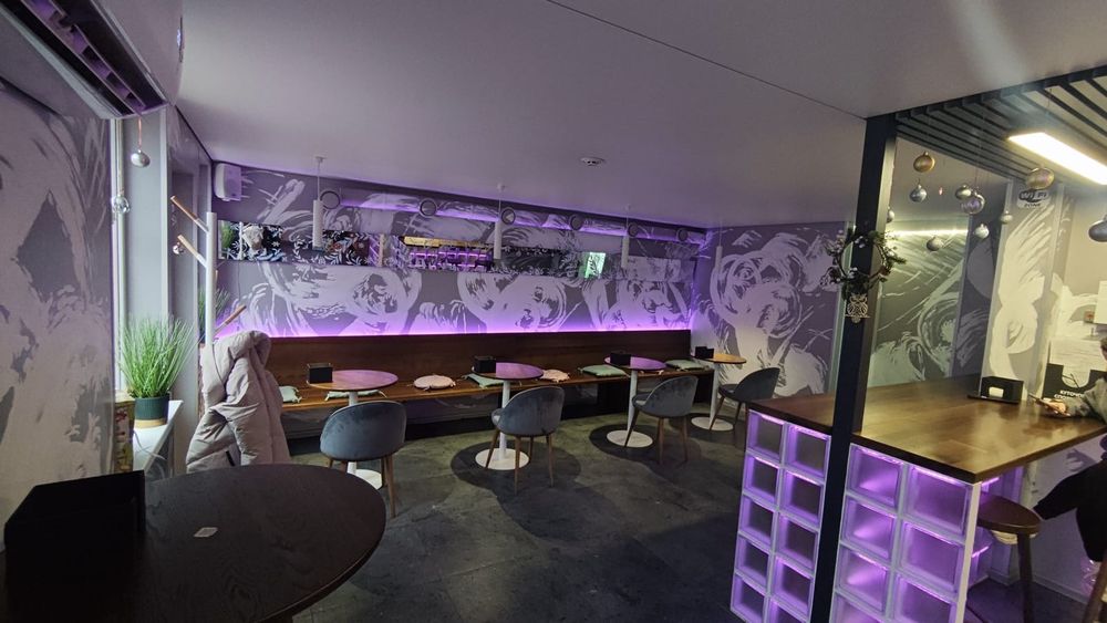 Стільці з оксамитовим оздобленням та дерев'яними ніжками