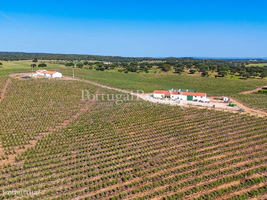Herdade com 463 hectares em Évora