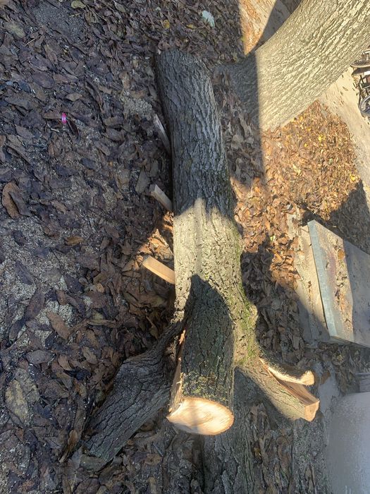 продам горіха