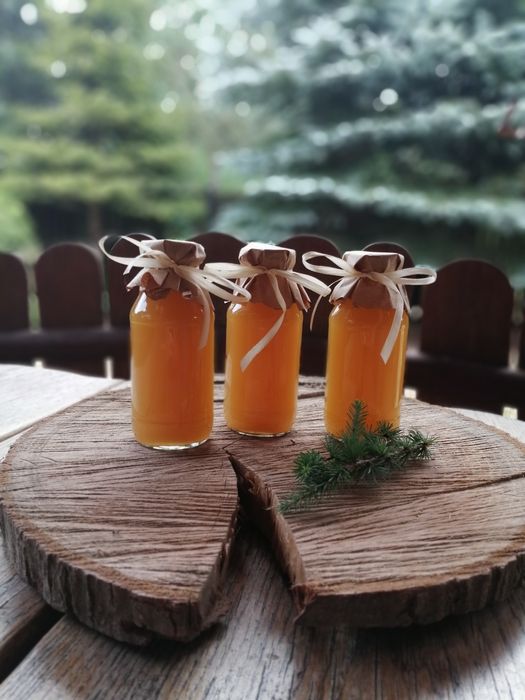 Syrop młode pędy modrzewia