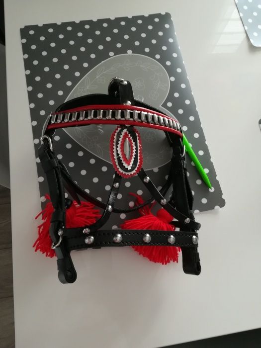 Kantar uzda  na kuca