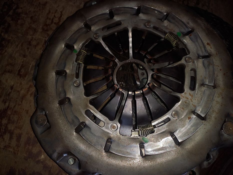 Продам щеплення віто 638.611