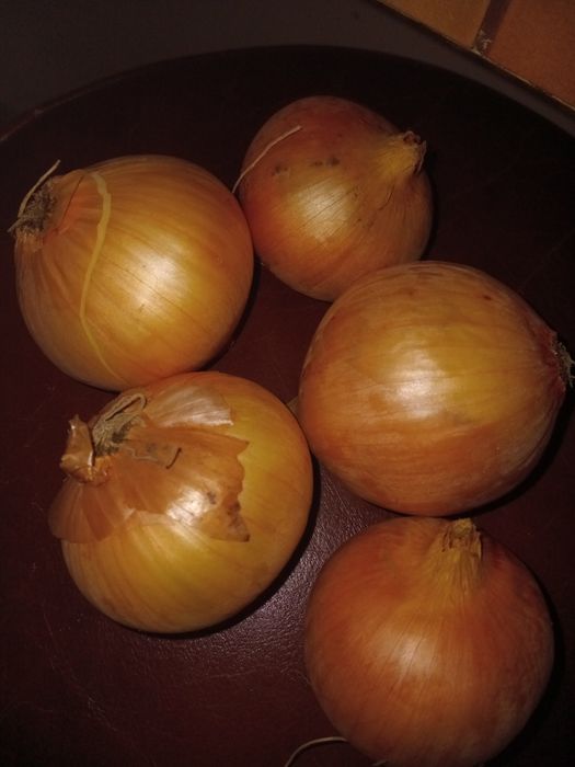 Ekologiczna cebula , nadwyżka z  własnej uprawy