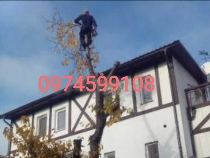 Арбористы.Обрезать,спилить дерево любой сложности.