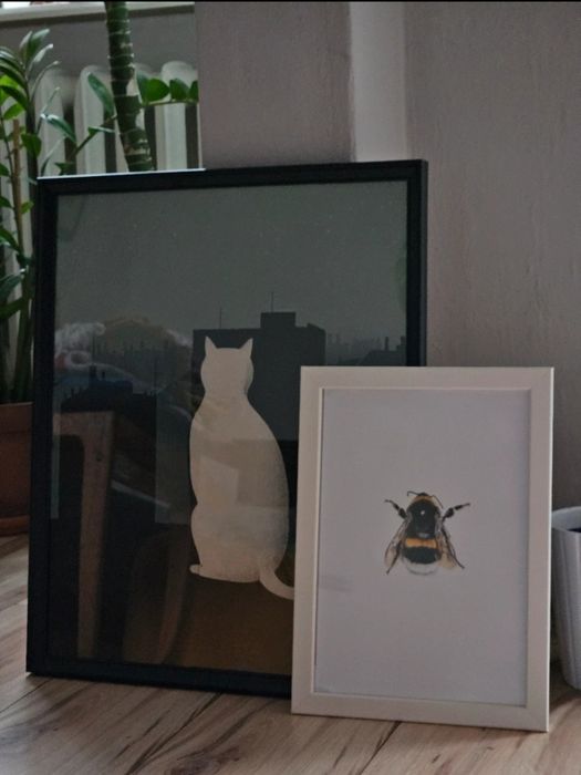 Zestaw 2 obrazów plus ramki