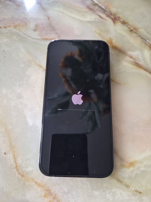 IPhonie 13 pro max