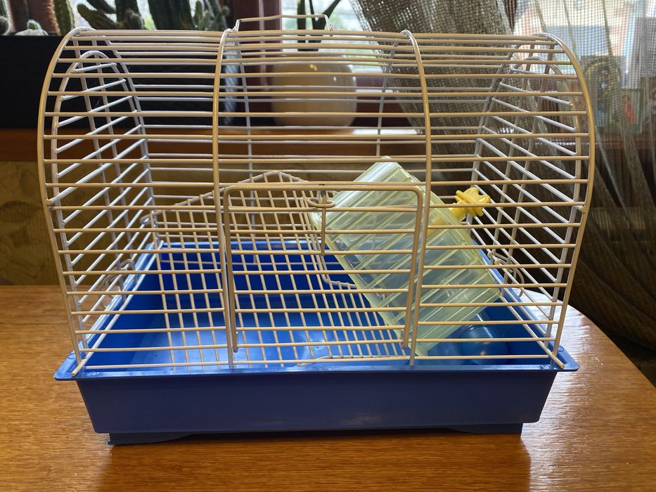 Товары доя животных