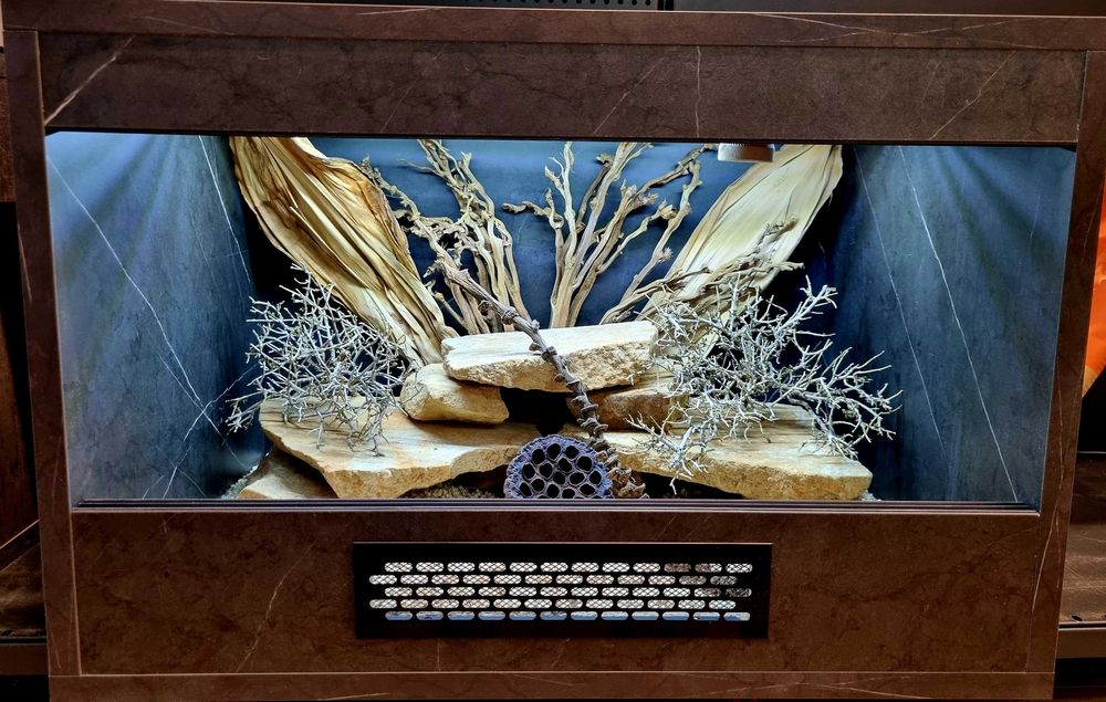 Terrarium 60x40x40 dla gekona jaszczurki agamy