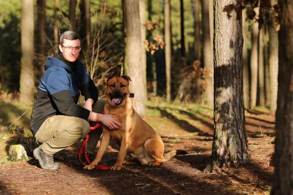 Fido, duży szczeniak, szuka domu