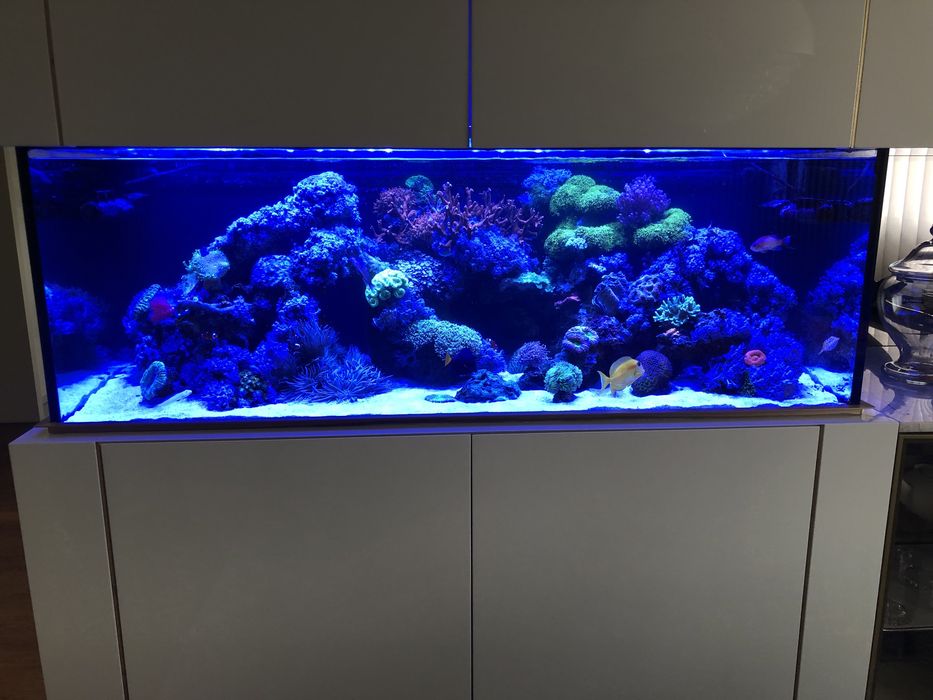 Manutencao de aquarios