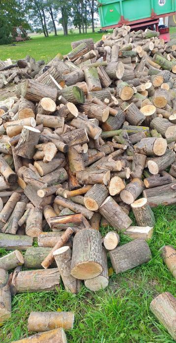 Drewno opalowe sosna, liściaste mieszane