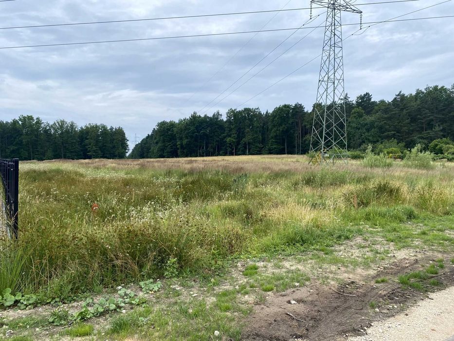 Działka 2933 m² - Bilcza, ul. Osikowa - inwestycyjna, media w drodze. - Widok 2