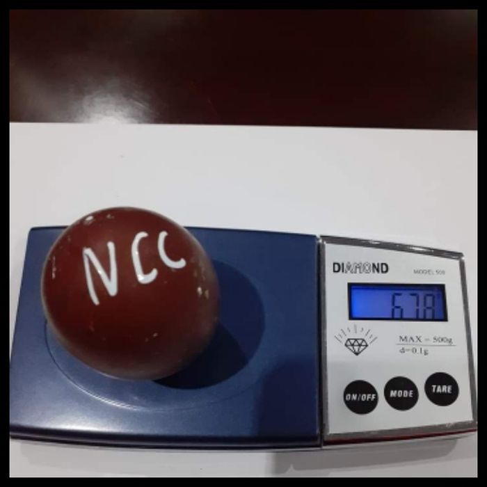 Ovos Marans fecundados férteis para incubação