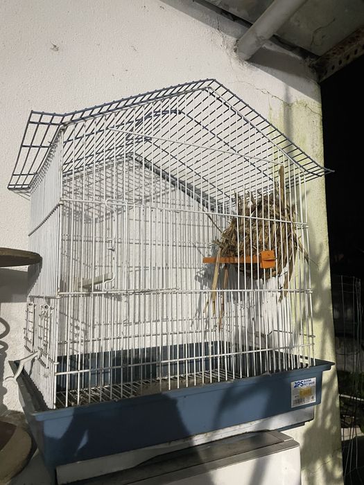 Gaiola para passaros