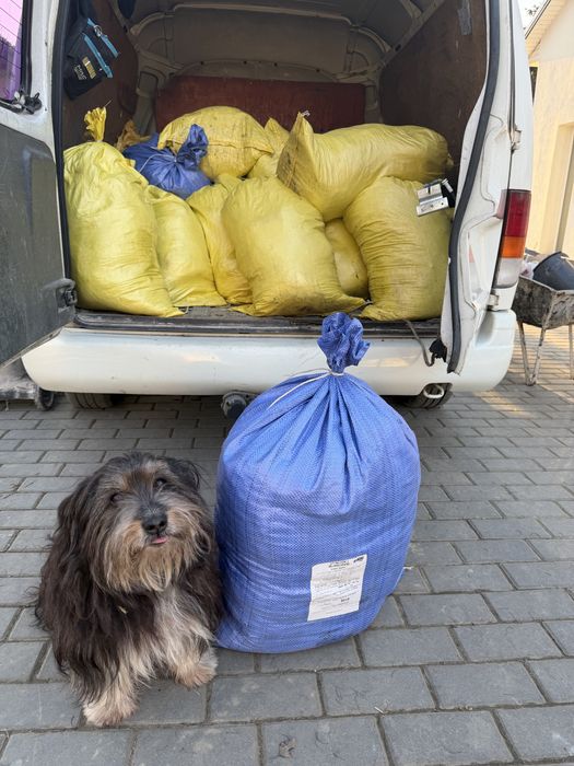 Obornik Koński i Kurzy - Transport!