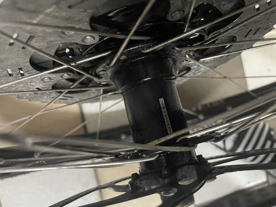 Koło rowerowe alexrims piasta novatec