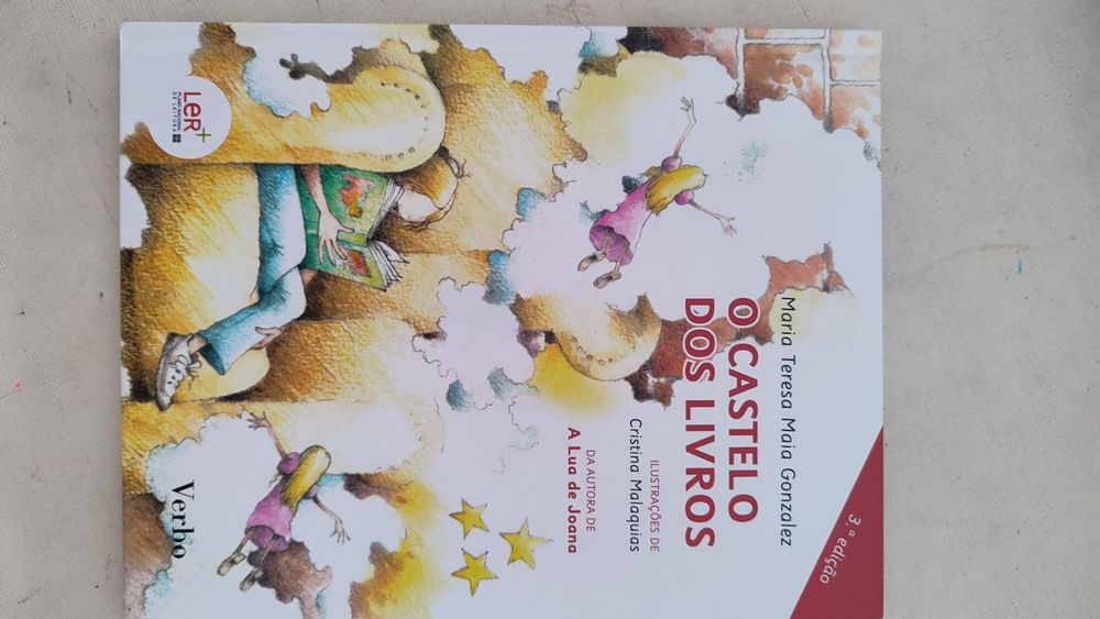 Livro O castelo dos livros