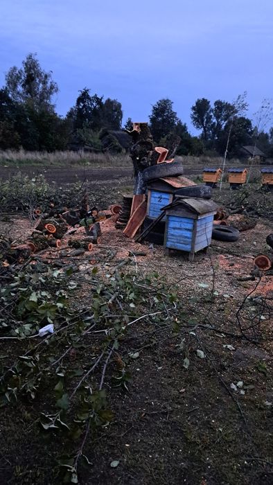 Продам 2 вулики з магазинами+ловушка обмін на рої