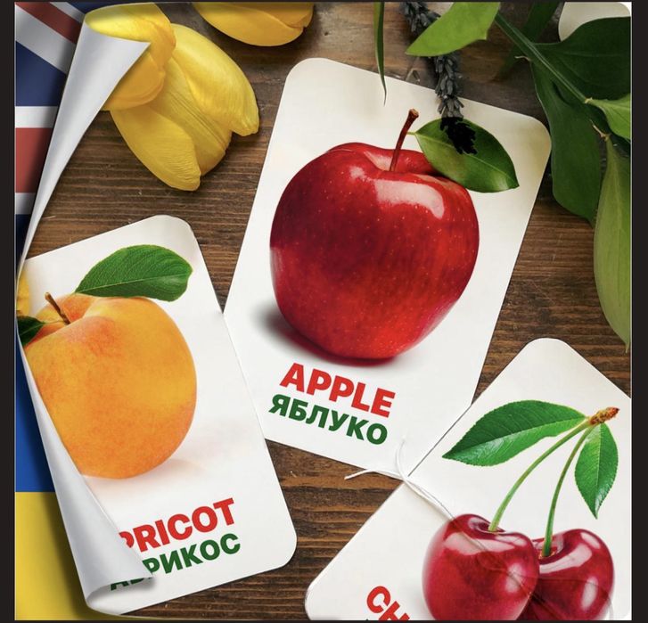 Картки Домана, нові, 13 тем, якісний картон, анг-укр