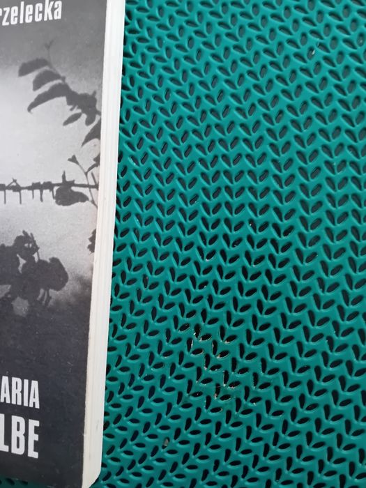 Maksymilian Maria Kolbe