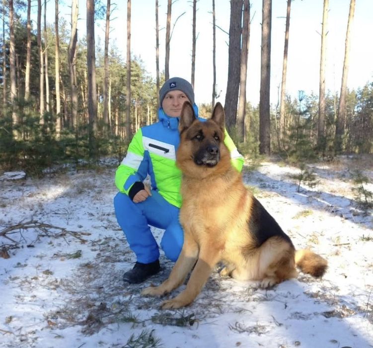Кінолог. Дресирування. Виїзд. Пансіон