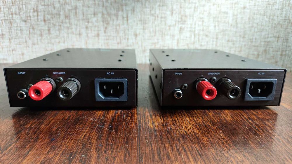 Flying Mole DAD-M100pro, два моноусилителя мощности, 100W 8ohm, Japan