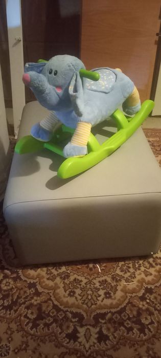 Słonik na biegunach